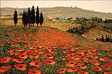 Hills of Tuscany I by Unknown Artist